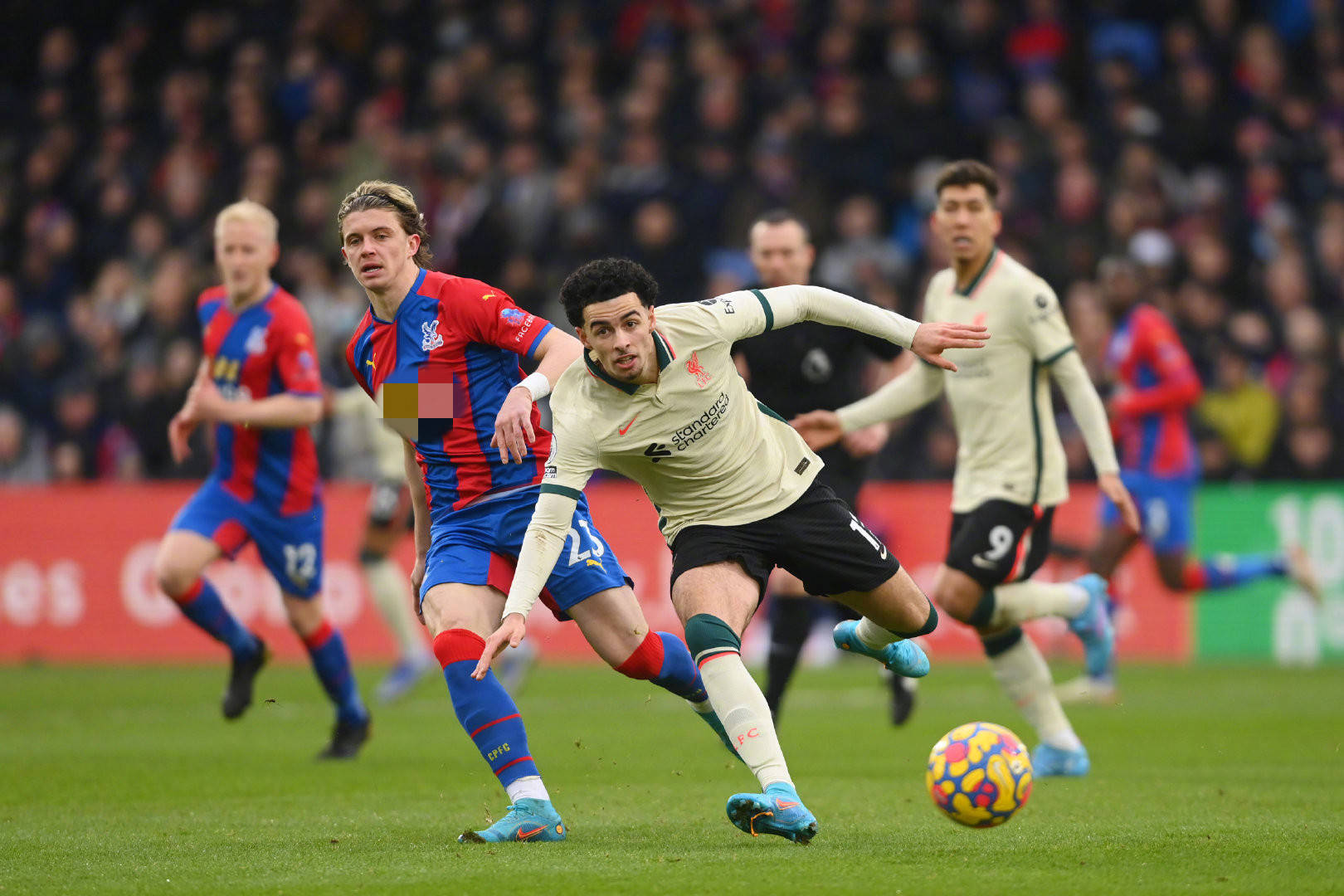 直以来以其 直以来以其